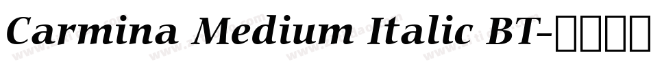 Carmina Medium Italic BT字体转换